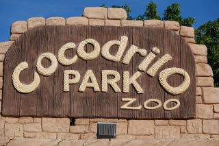GC-Crocodilo Park 2020-001.JPG